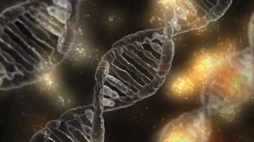 致癌基因 癌症的分子开关与诊断之路