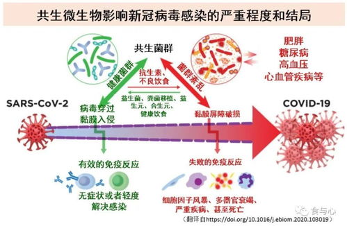 图文了解人体与甲流和新冠病毒的战争 病毒有帮手，你有吗