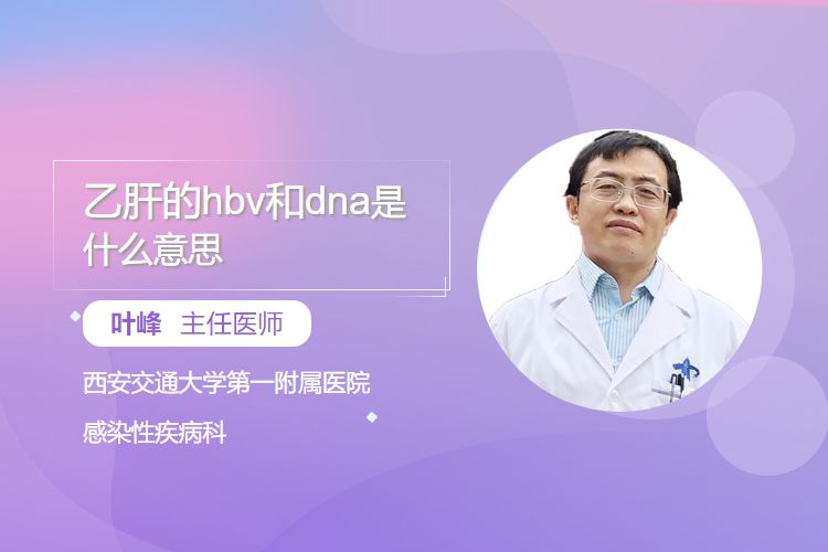 解密乙肝 HBV、DNA与人体基因诊断的深层意涵