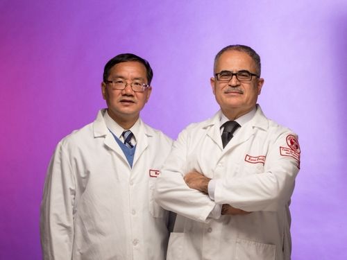 基因编辑新突破 胡文辉团队成功清除小鼠体内HIV，为艾滋病治愈带来曙光